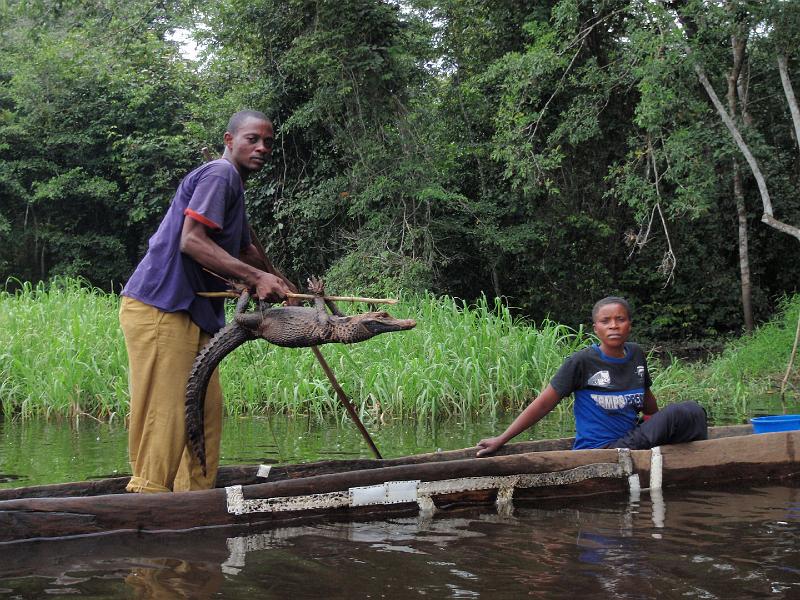 3 Little cayman is being sold.jpg